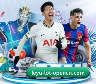 五大服务分区,信息按项目分类(leyu)